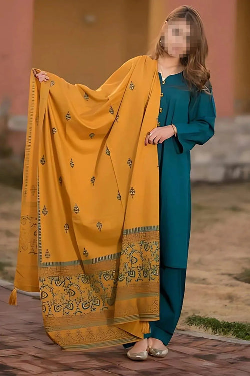 Women's Blue Dhanak Embroidered 3-Piece Suit with Pashmina Dupatta