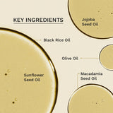 HARUHARU wonder Black Rice Moisture Cleansing Oil, Double Cleansing, Daily Makeup Remover, Pore Oil Cleanser, Korean Skincare, For sensitive, Non-comedogenic, 5.1 fl oz