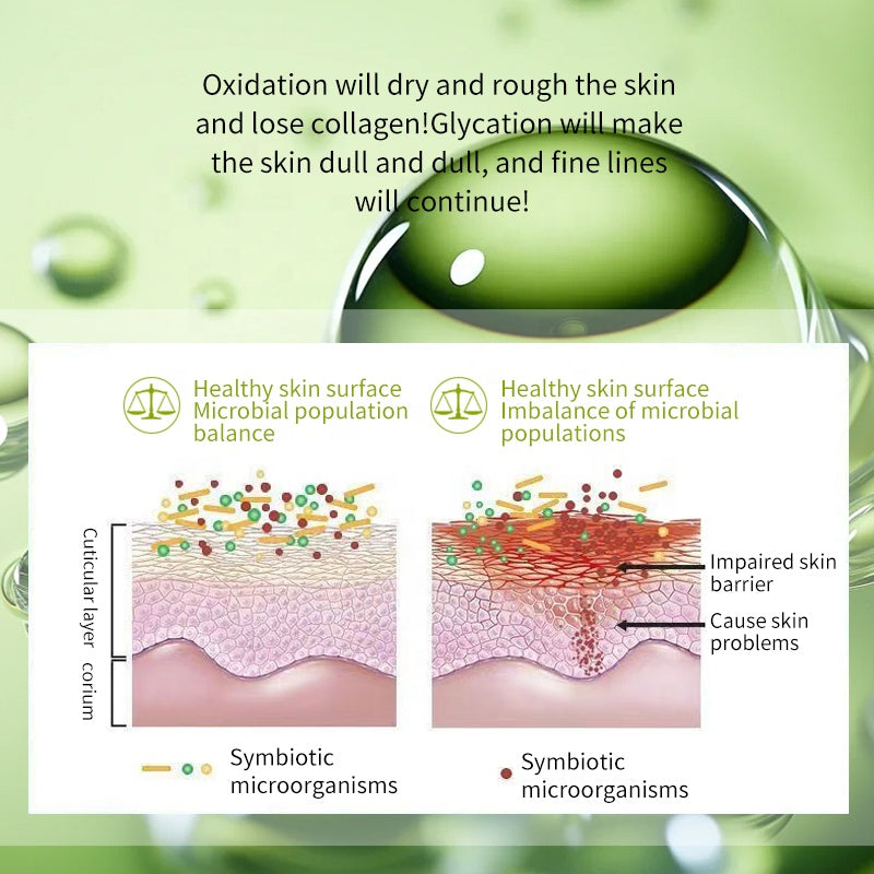 OEM Sale Skincare 6 Pcs Kit Cordyceps Sinensis Herbal Skin Care AHA Facial Care Wholesale Stock