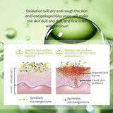 OEM Sale Skincare 6 Pcs Kit Cordyceps Sinensis Herbal Skin Care AHA Facial Care Wholesale Stock